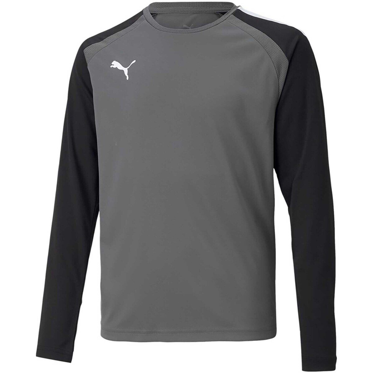 Puma Îmbracaminte Teampacer Gk Ls Jersey Jr