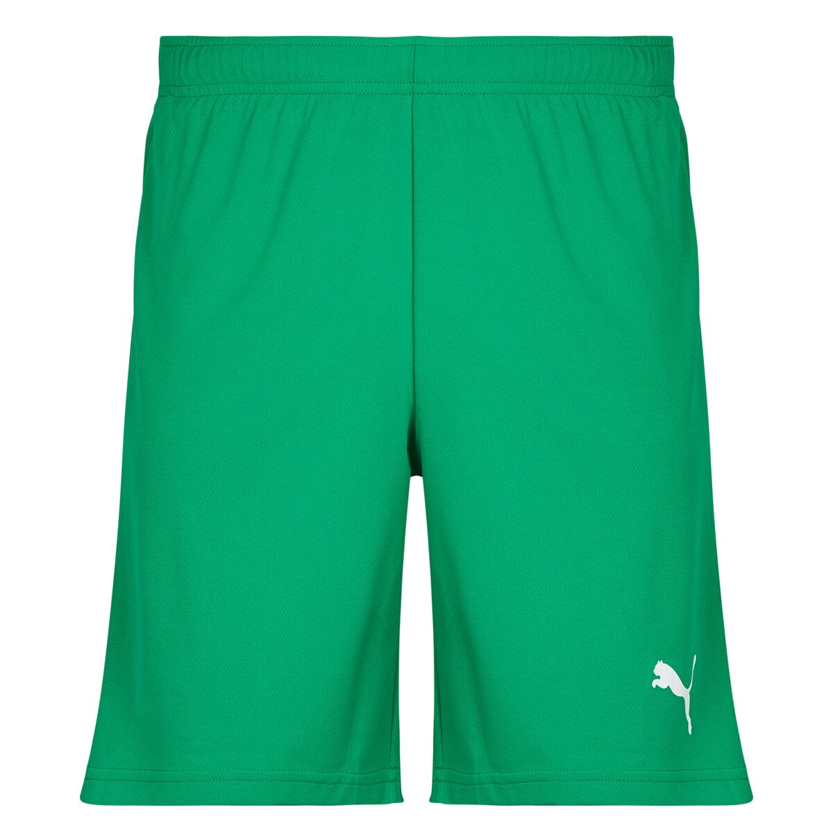 Puma Îmbracaminte TEAMRISE MATCHDAY