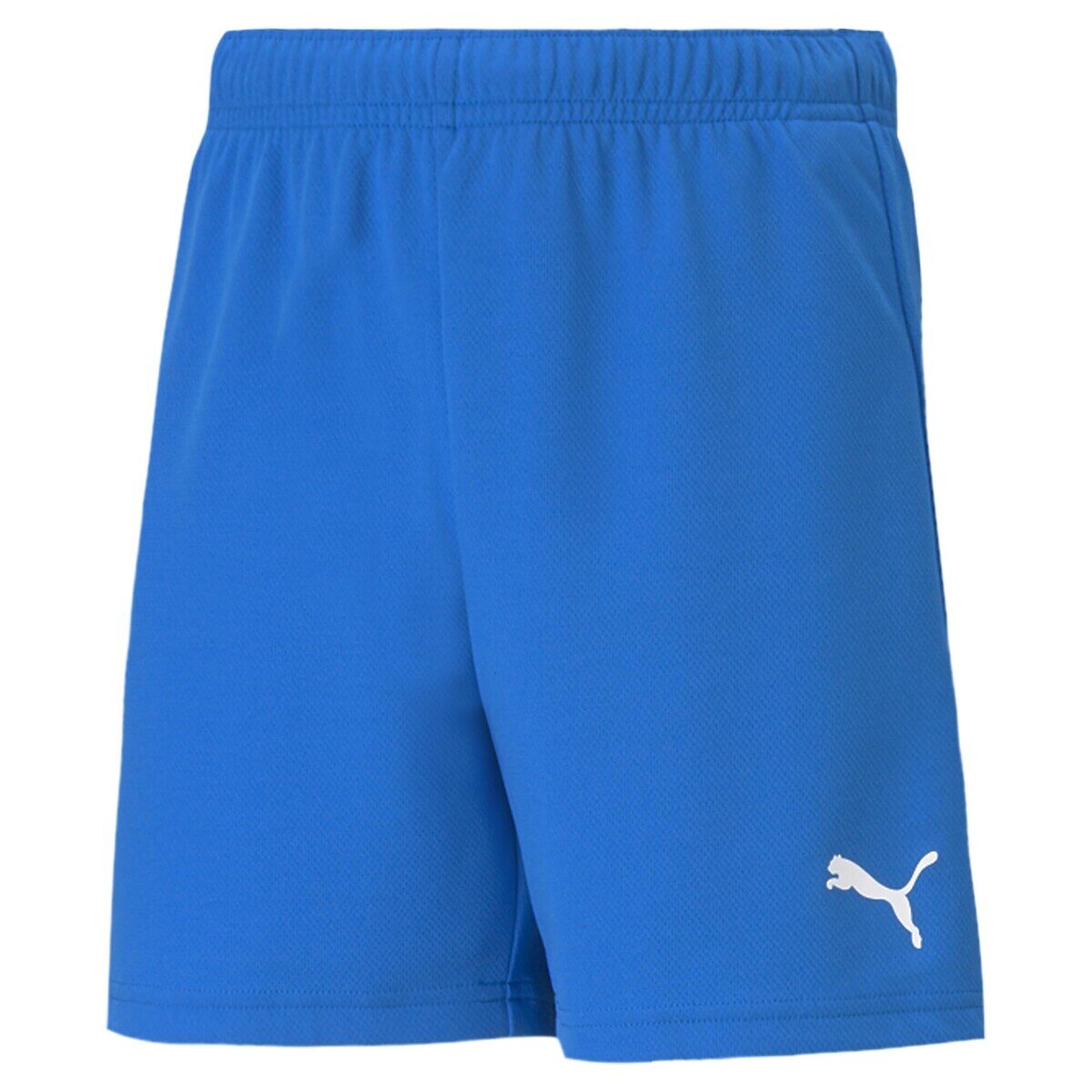 Puma Îmbracaminte TEAMRISE SHORT