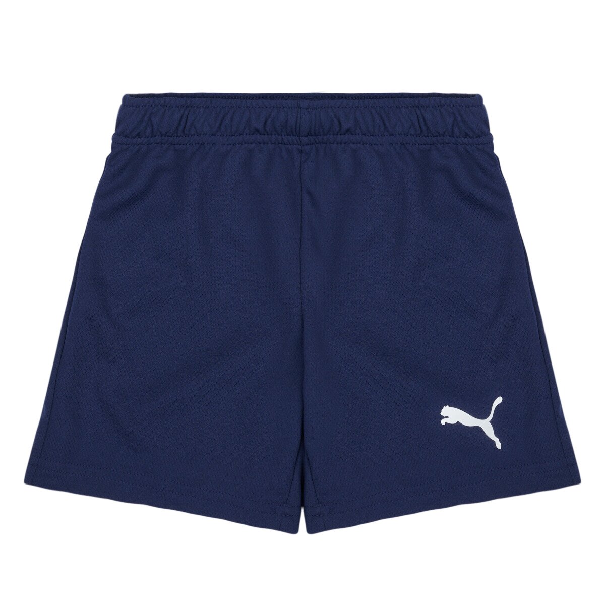 Puma Îmbracaminte TEAMRISE SHORT