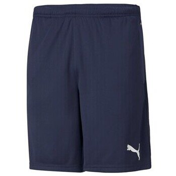 Puma Îmbracaminte Teamrise Training