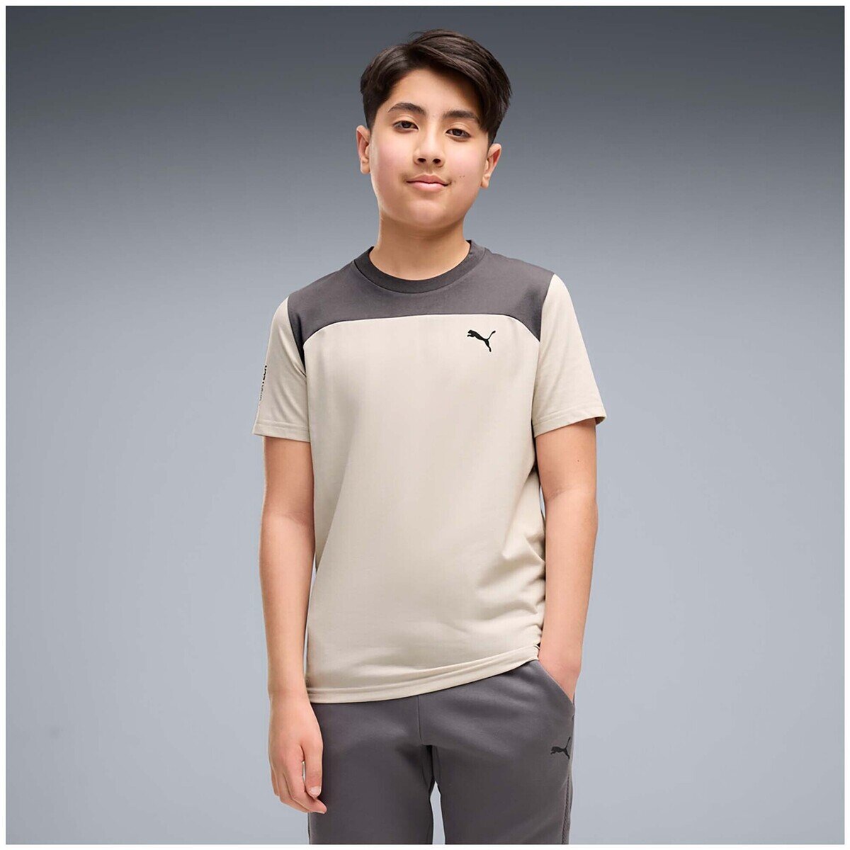 Puma Îmbracaminte tech Essentials Tee B