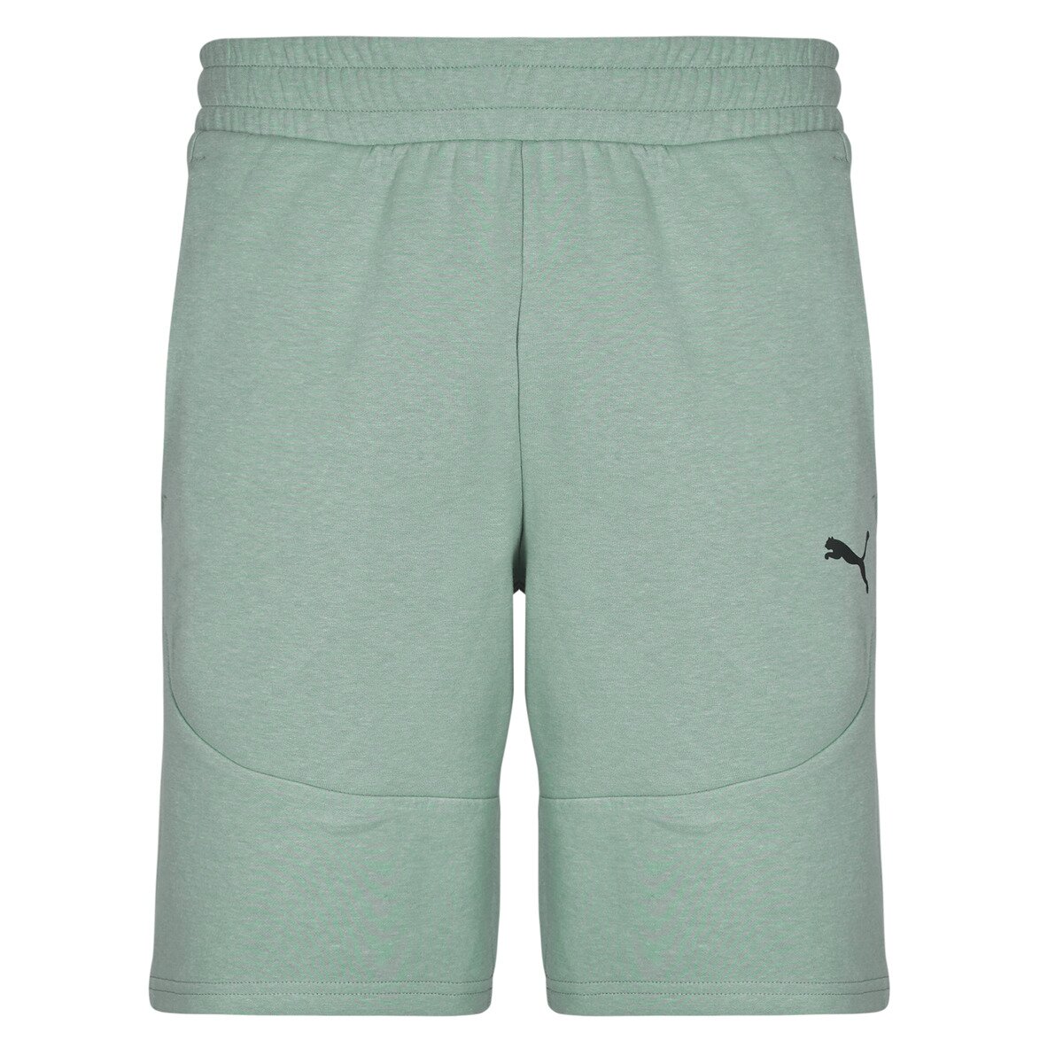 Puma Îmbracaminte TECH SHORTS