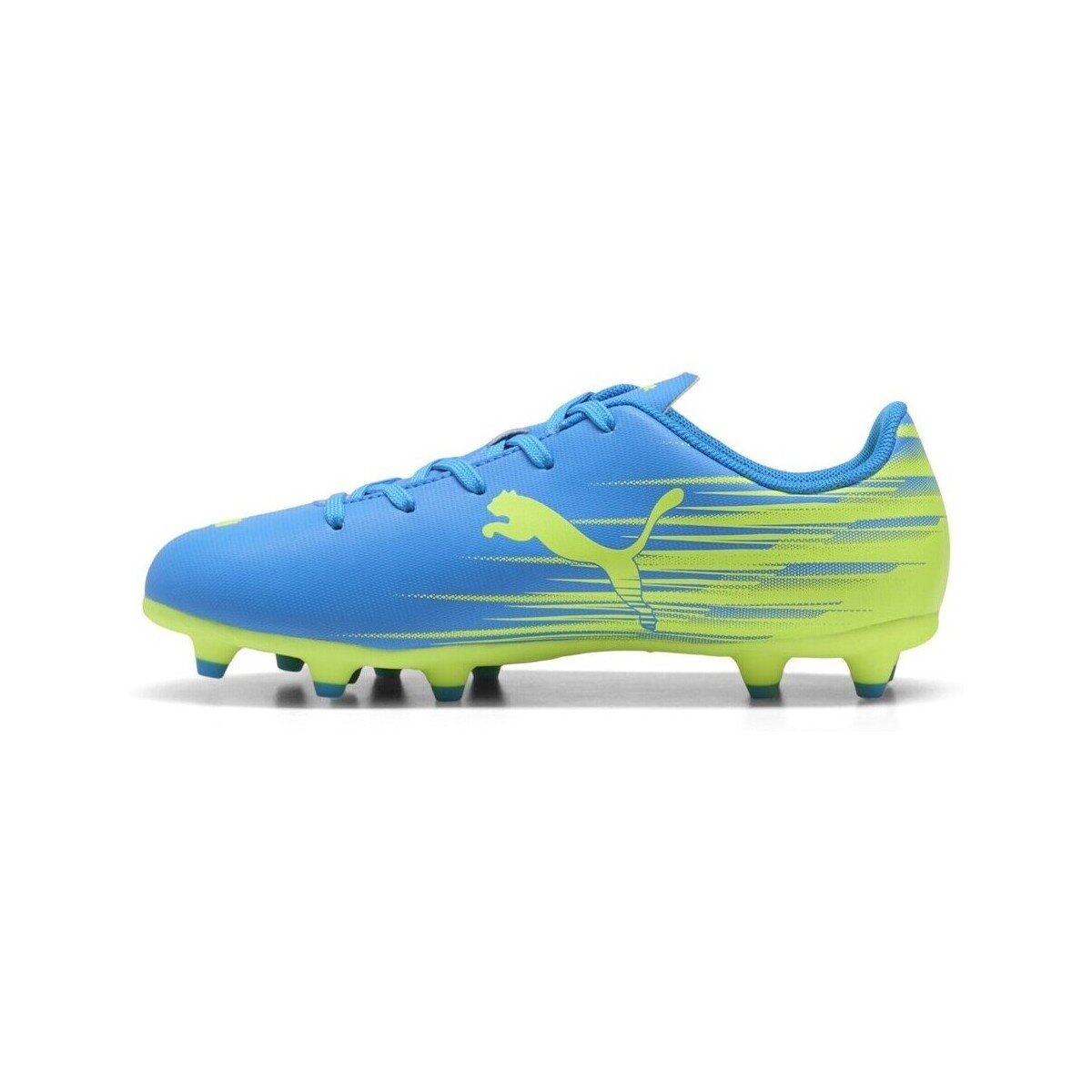Puma Pantofi 10849611