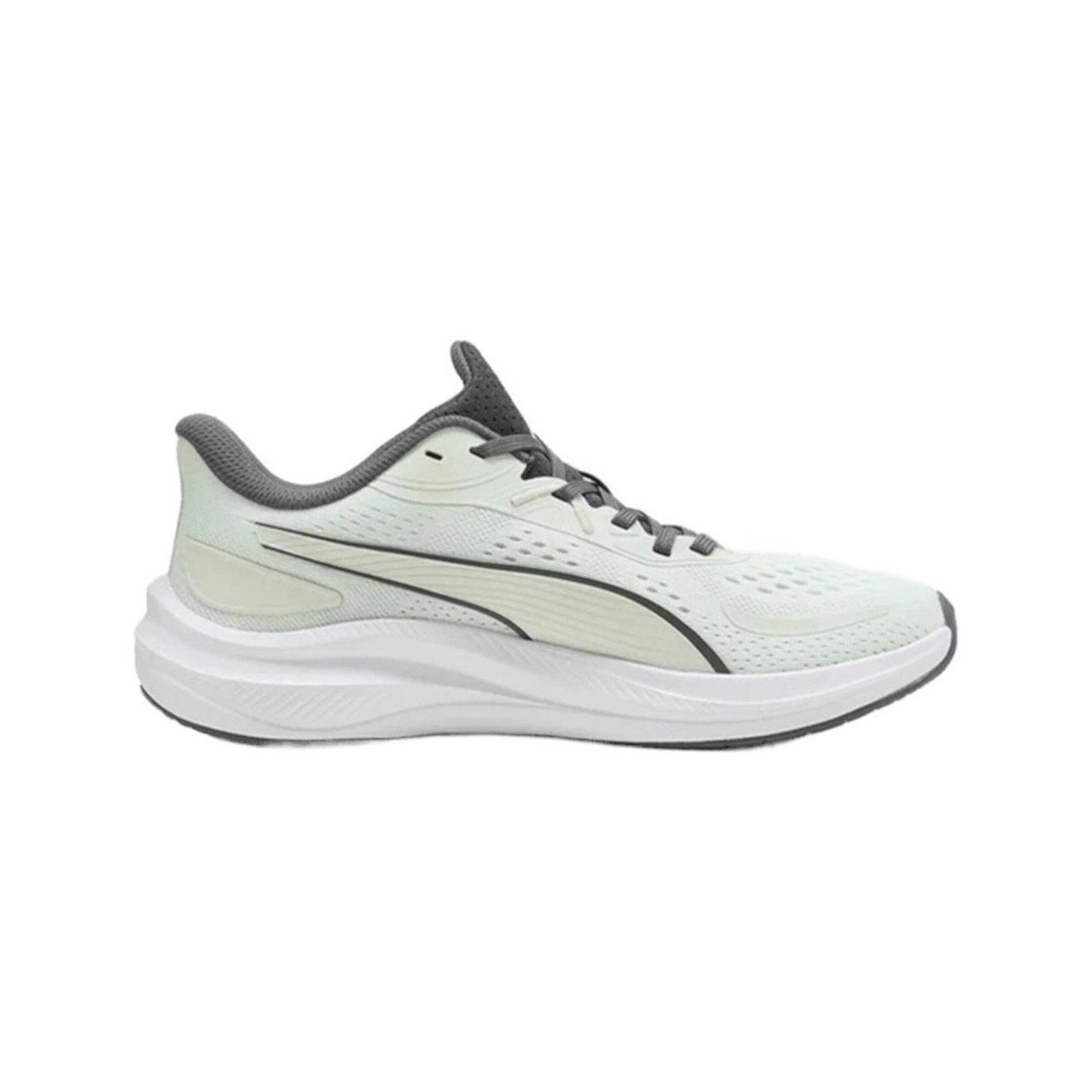 Puma Pantofi 31173053