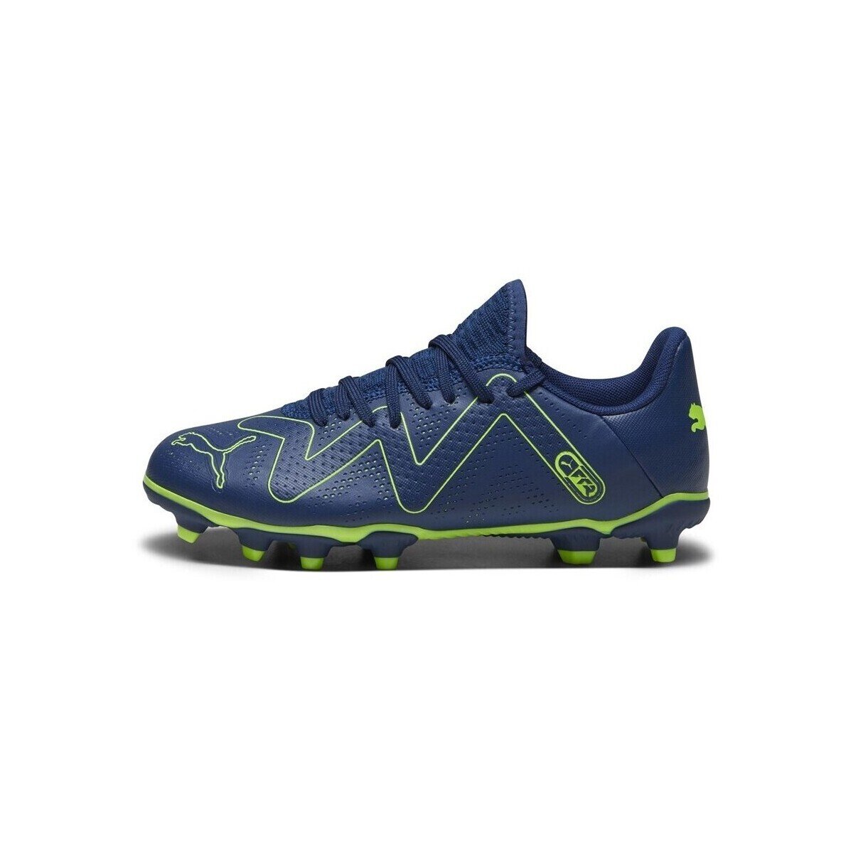 Puma Pantofi FUture Play Fg Ag