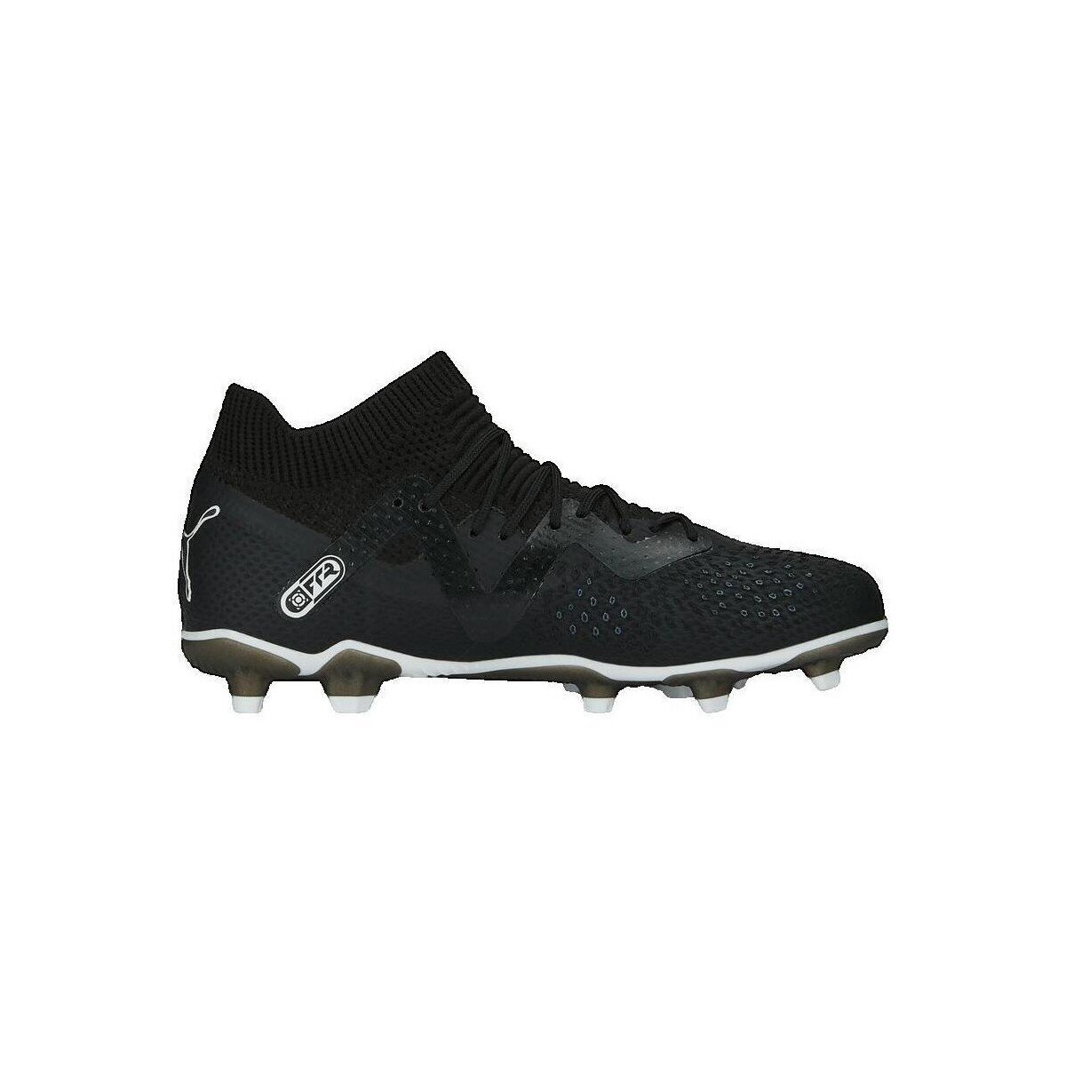Puma Pantofi Future Pro Fg