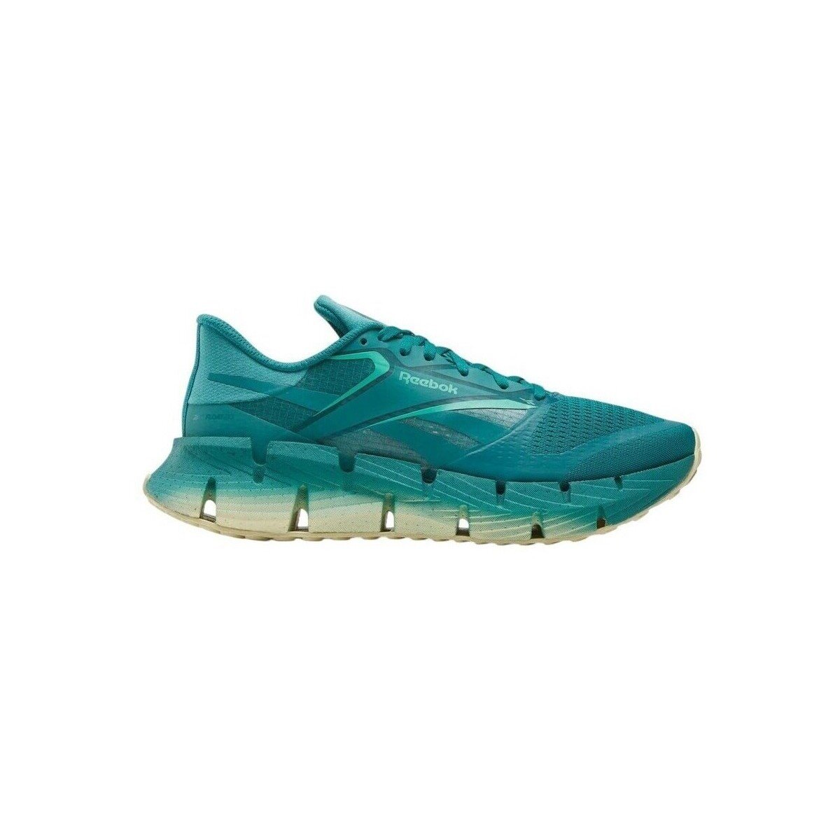 Reebok Sport Pantofi Floatzig 1