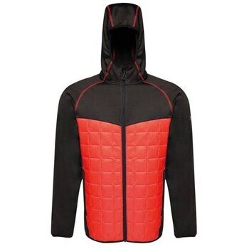 Regatta Îmbracaminte Modular Thermal