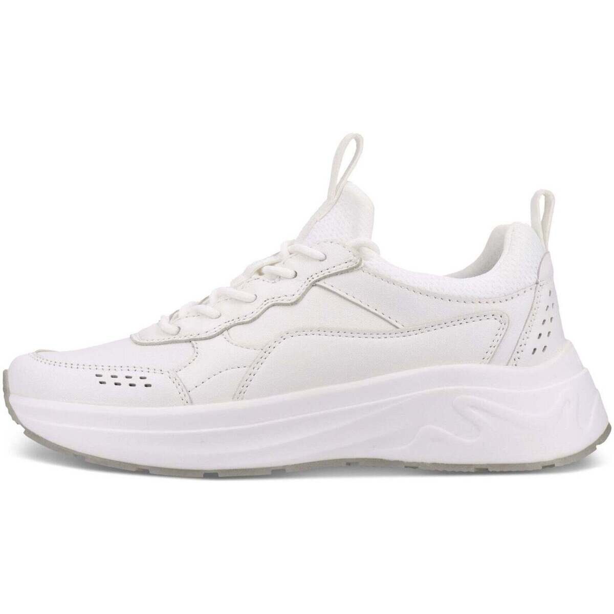 Salamander Pantofi -