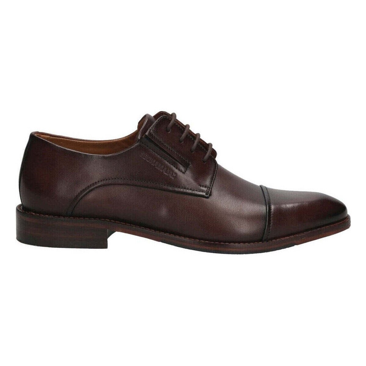 Salamander Pantofi -