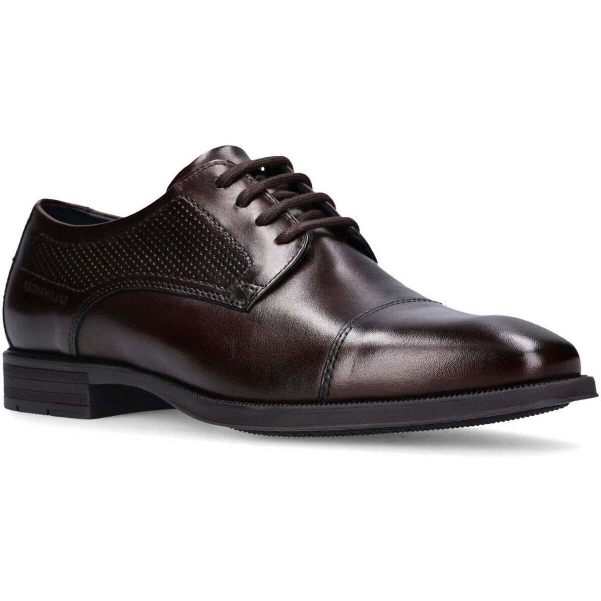 Salamander Pantofi -