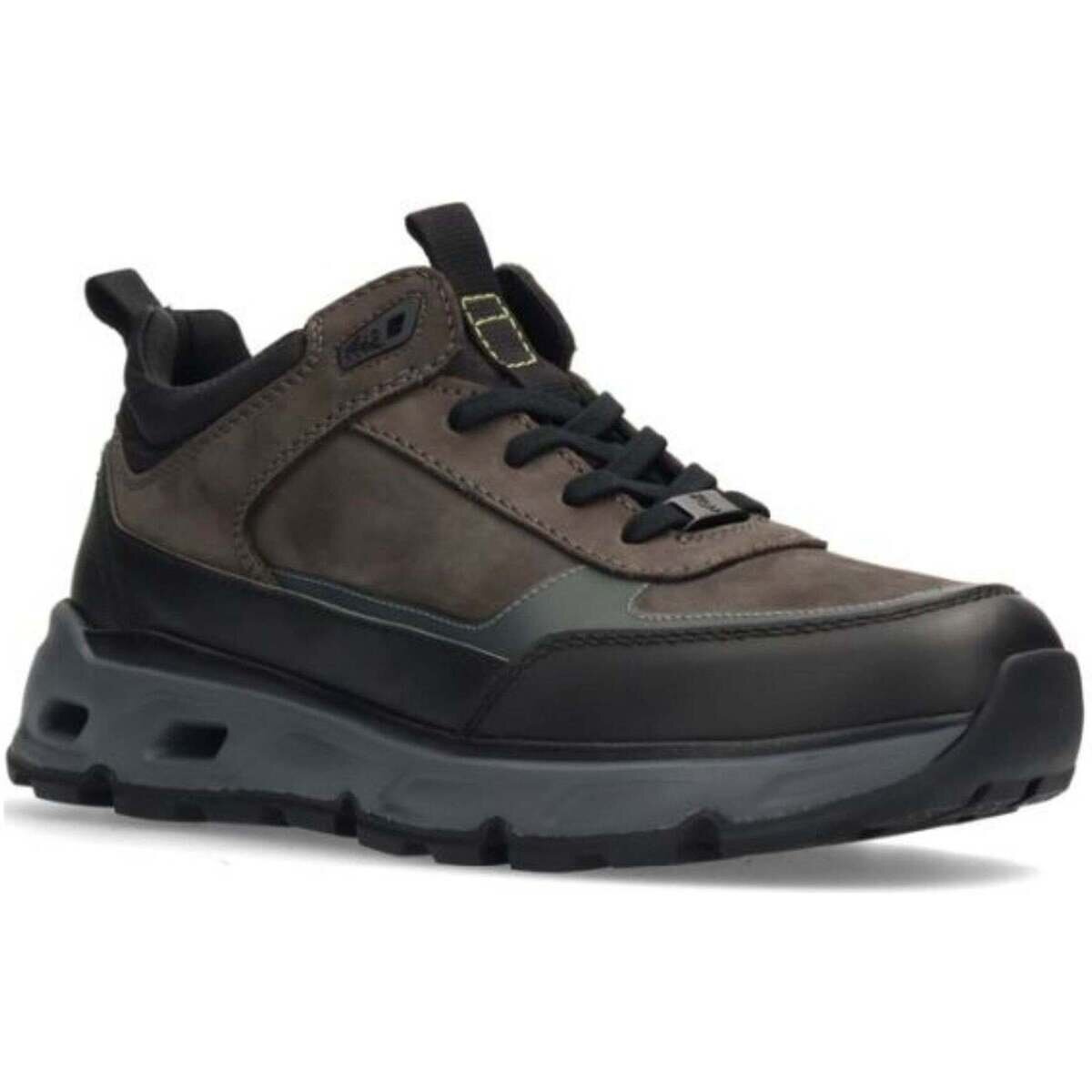 Salamander Pantofi -