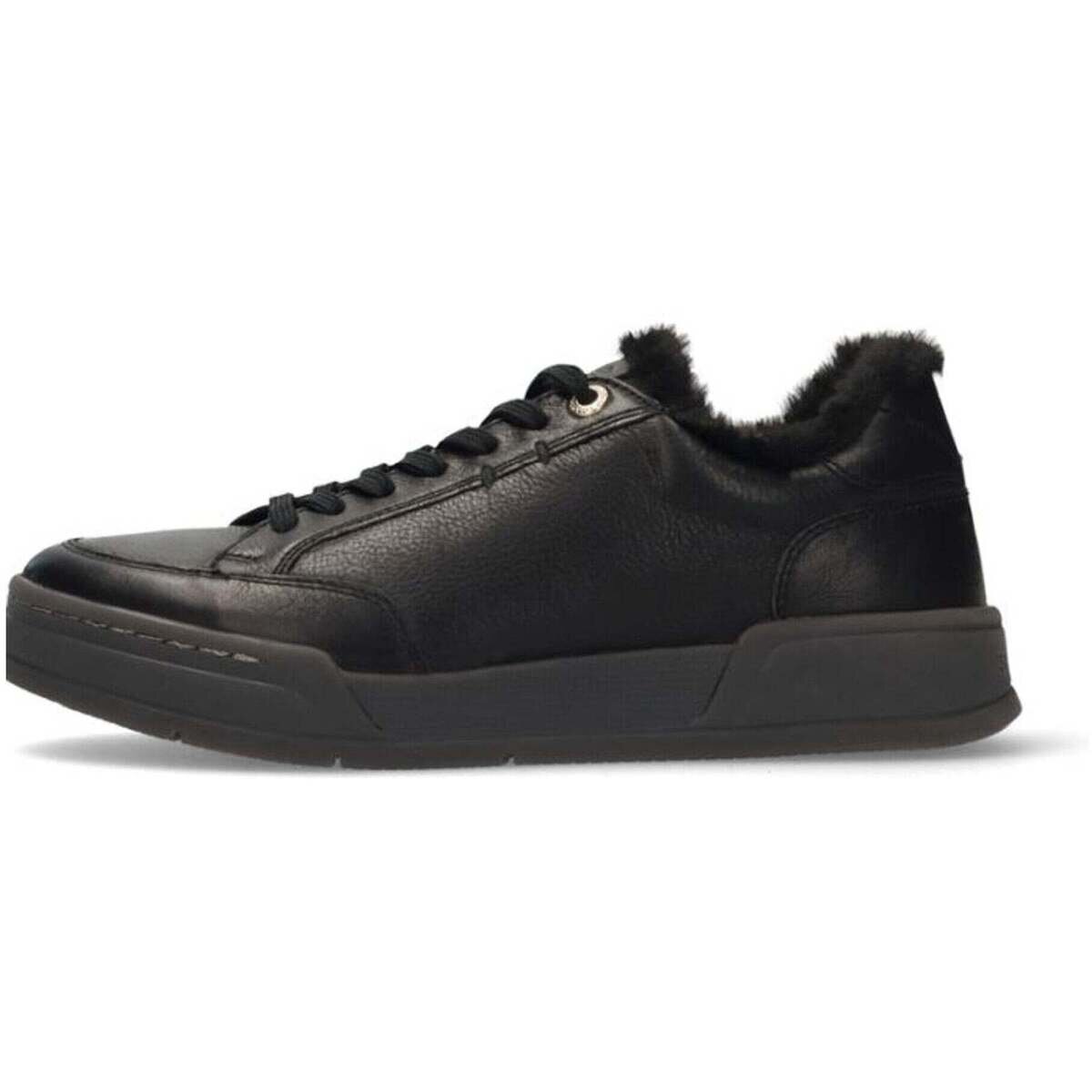Salamander Pantofi -