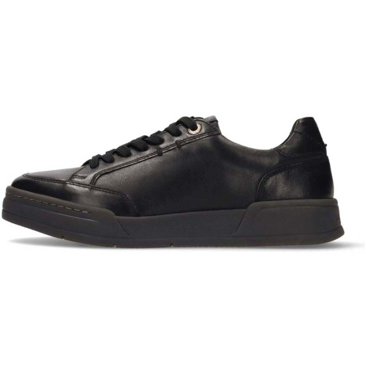 Salamander Pantofi -