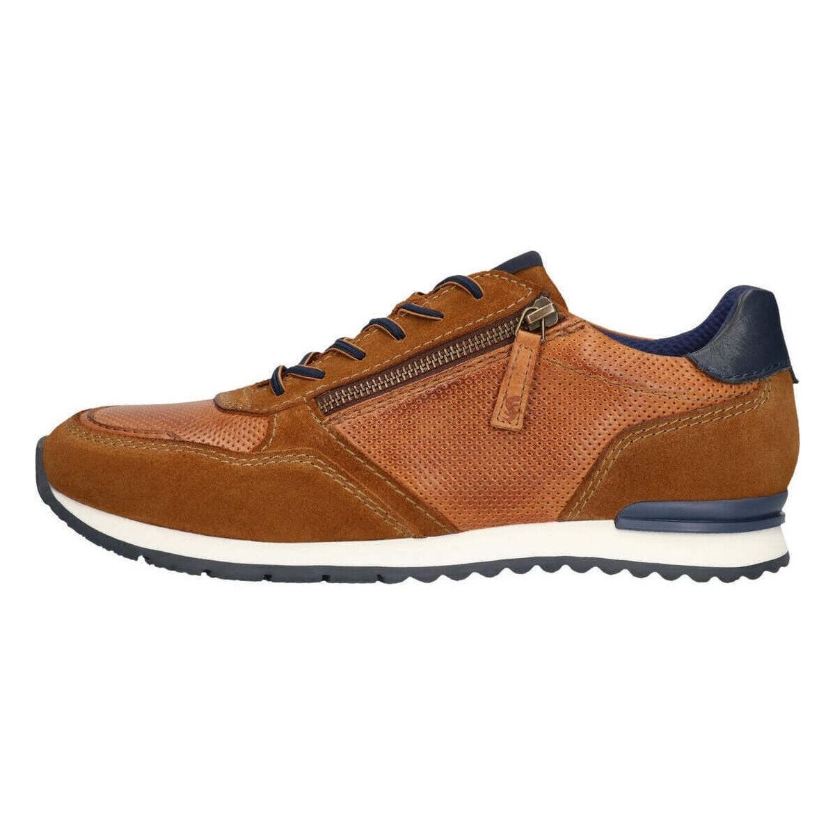 Salamander Pantofi -