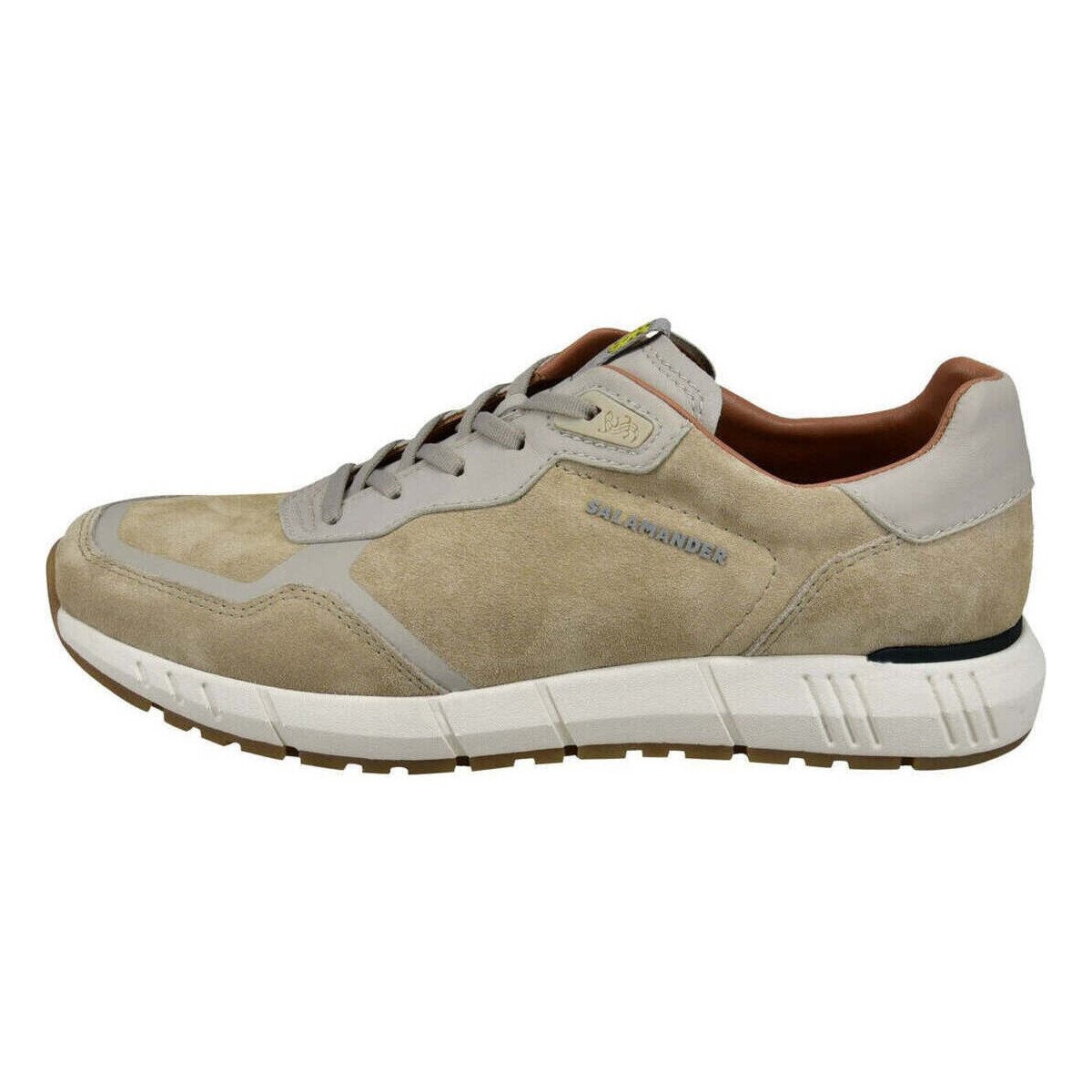 Salamander Pantofi -