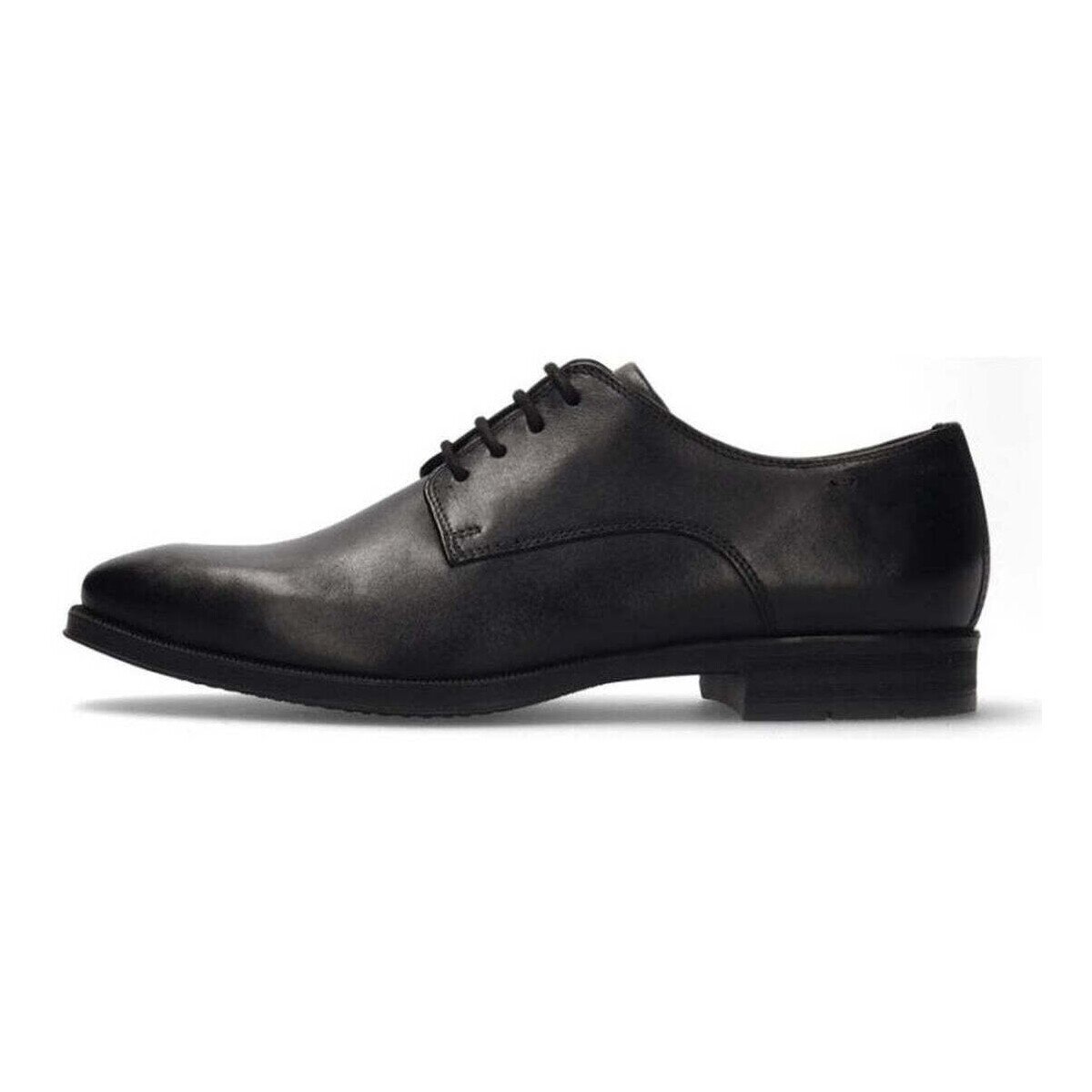 Salamander Pantofi -