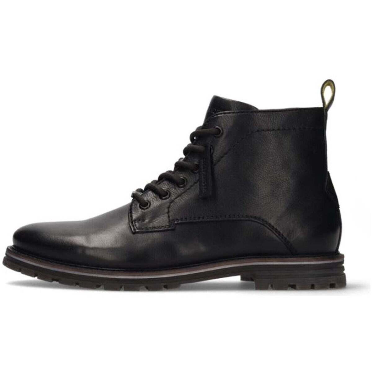Salamander Pantofi -
