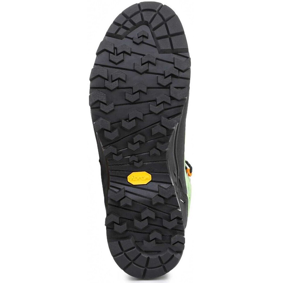 Salewa Pantofi Alp Trainer 2 Gore-Tex® Men's Shoe 61400-5660