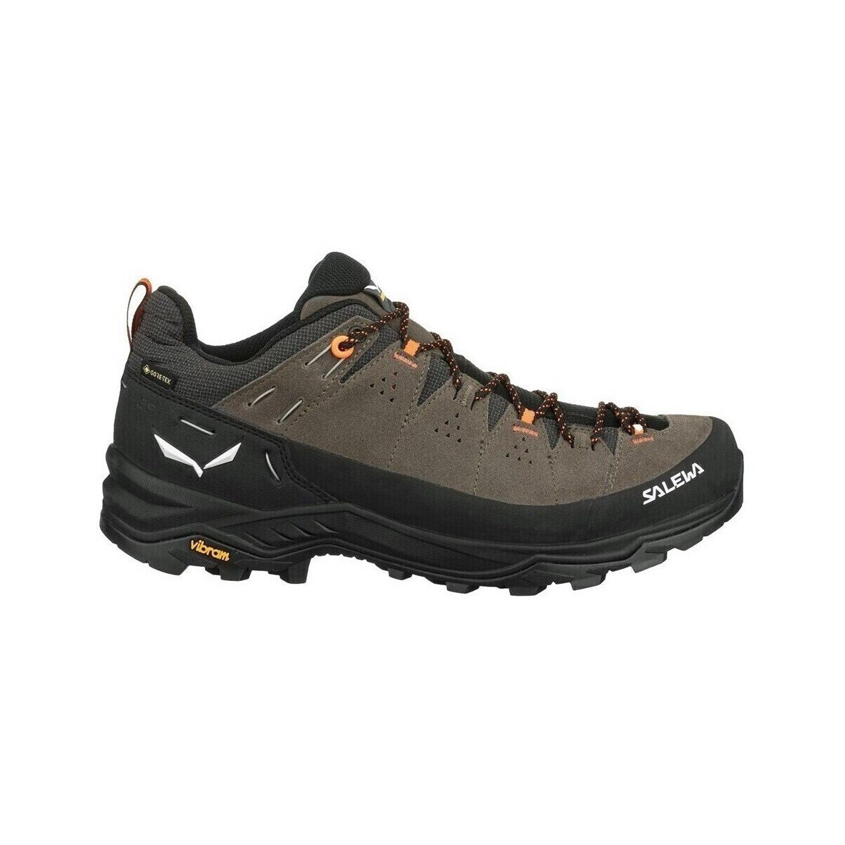 Salewa Pantofi Alp Trainer 2 Gtx
