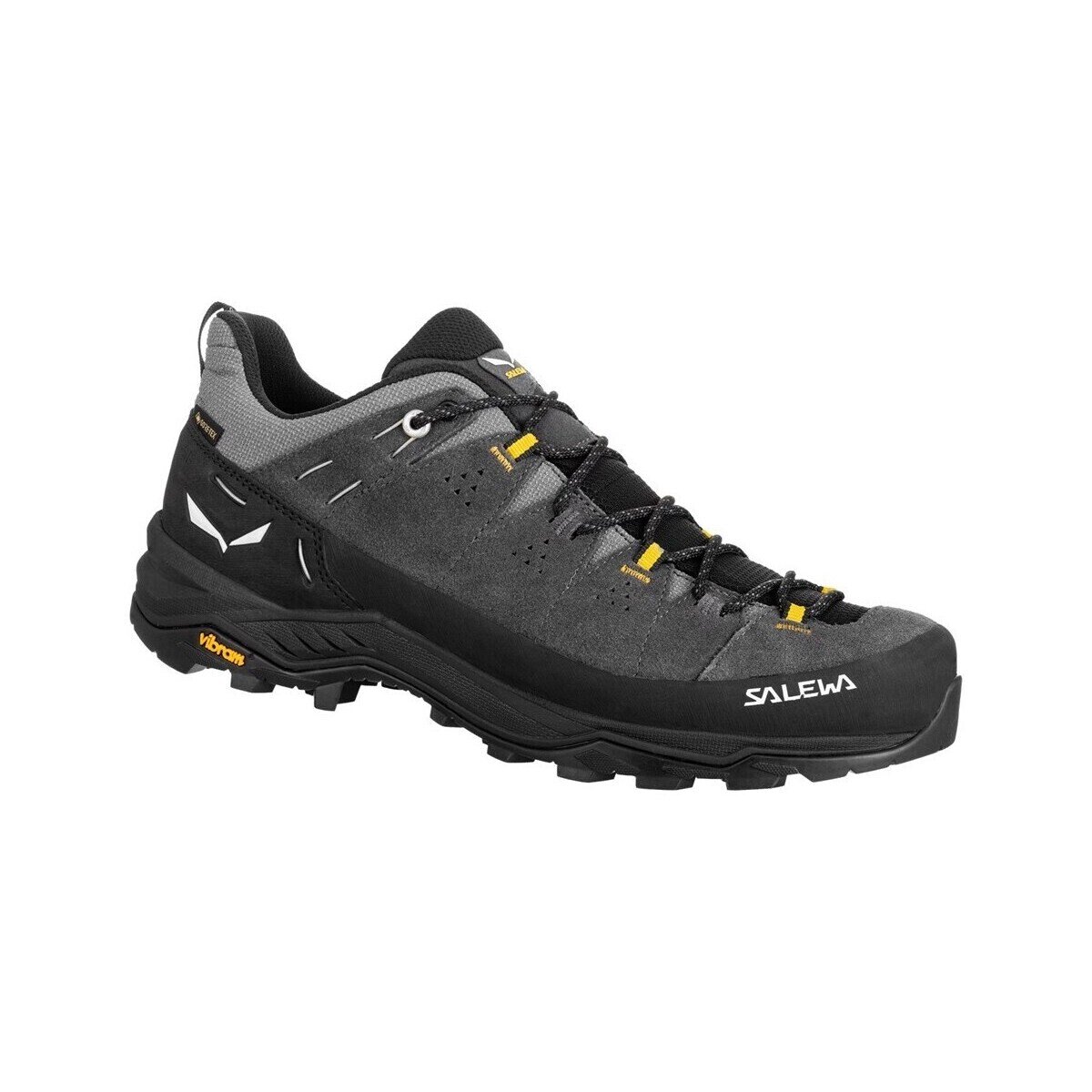 Salewa Pantofi Alp Trainer 2 Gtx