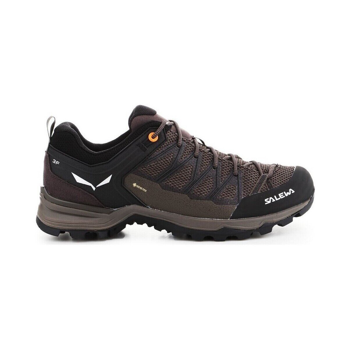 Salewa Pantofi Mtn Trainer Lite Gtx