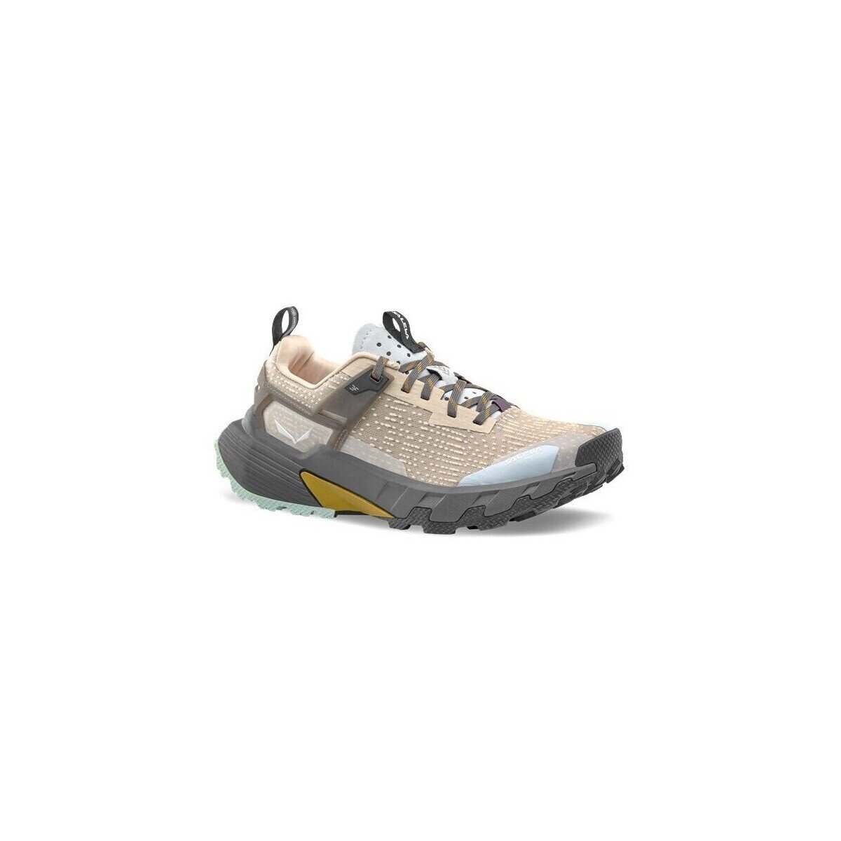 Salewa Pantofi Pedroc 2