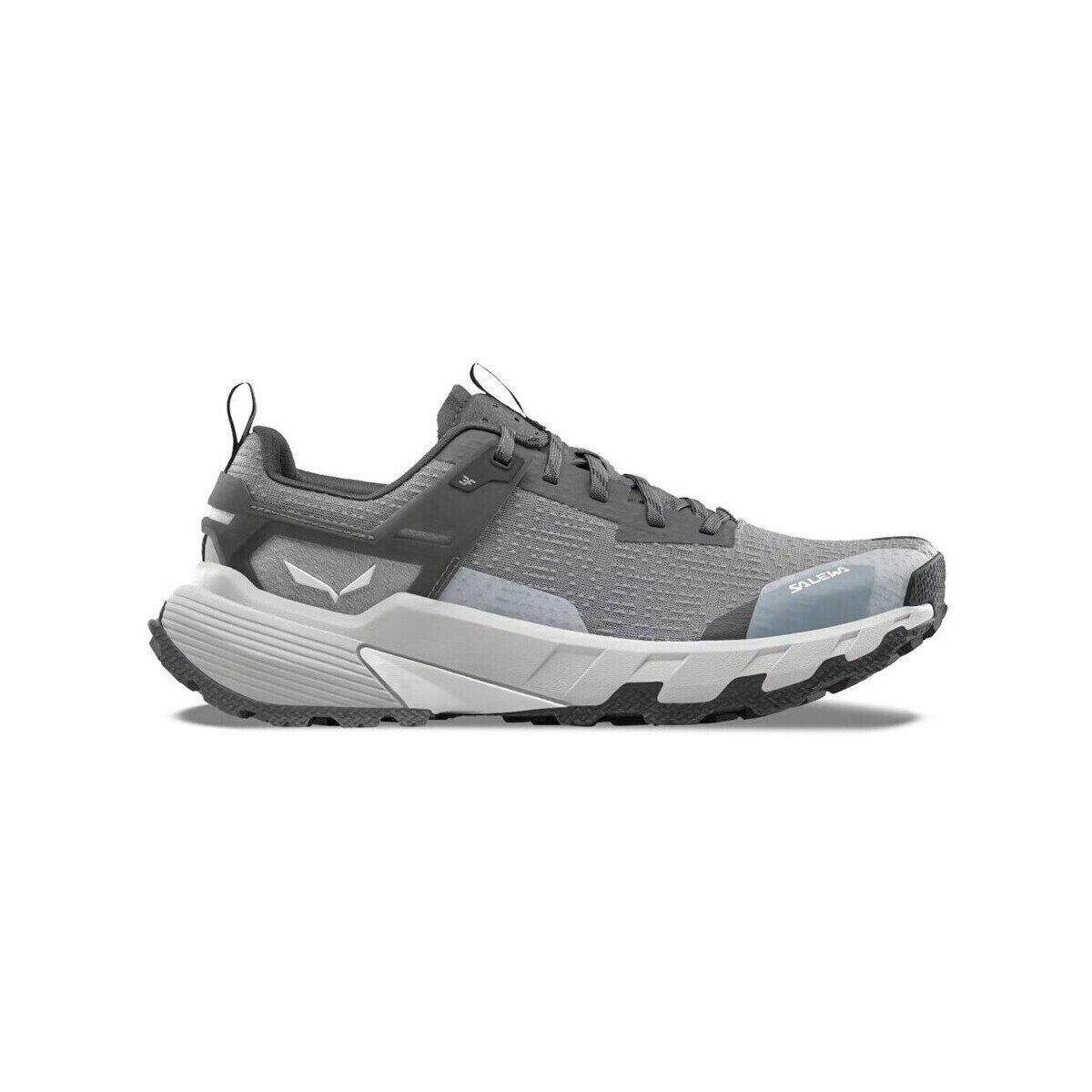 Salewa Pantofi Pedroc 2