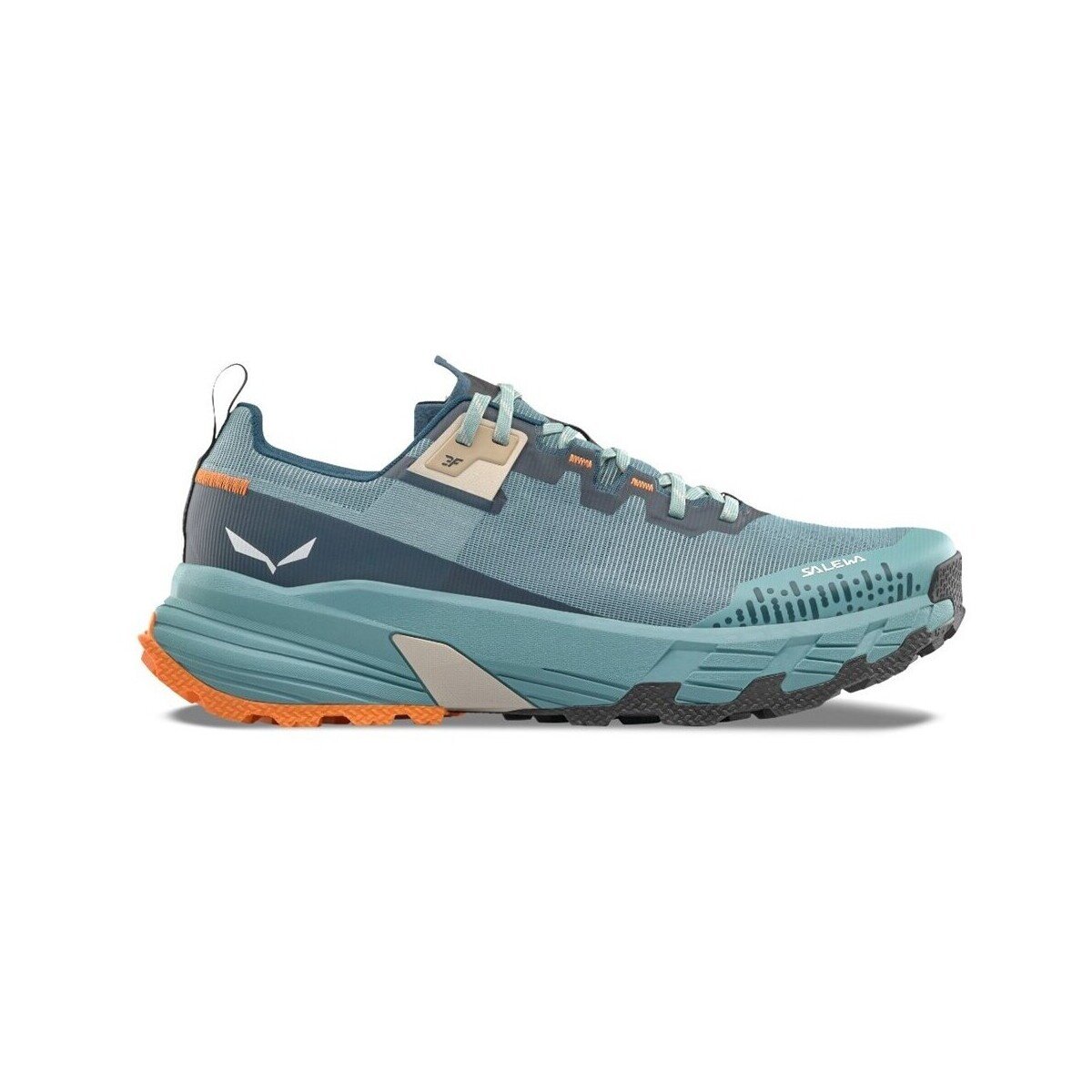 Salewa Pantofi Pedroc 2 Max