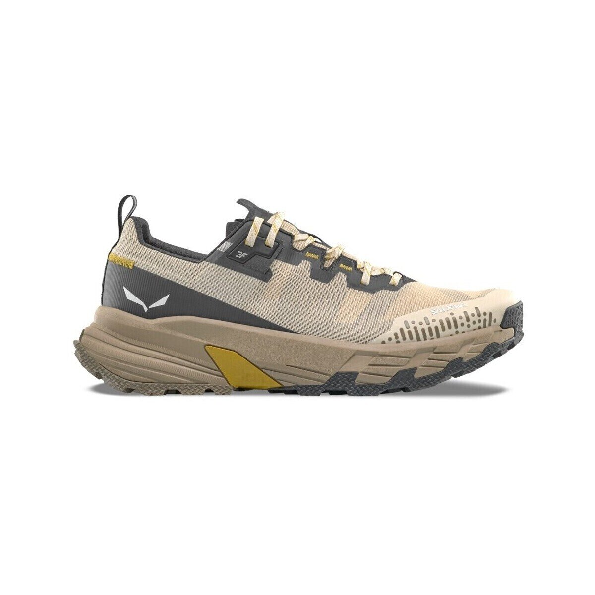 Salewa Pantofi Pedroc 2 Max