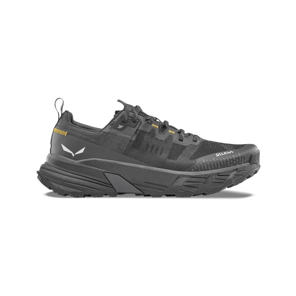 Salewa Pantofi Pedroc 2 Max