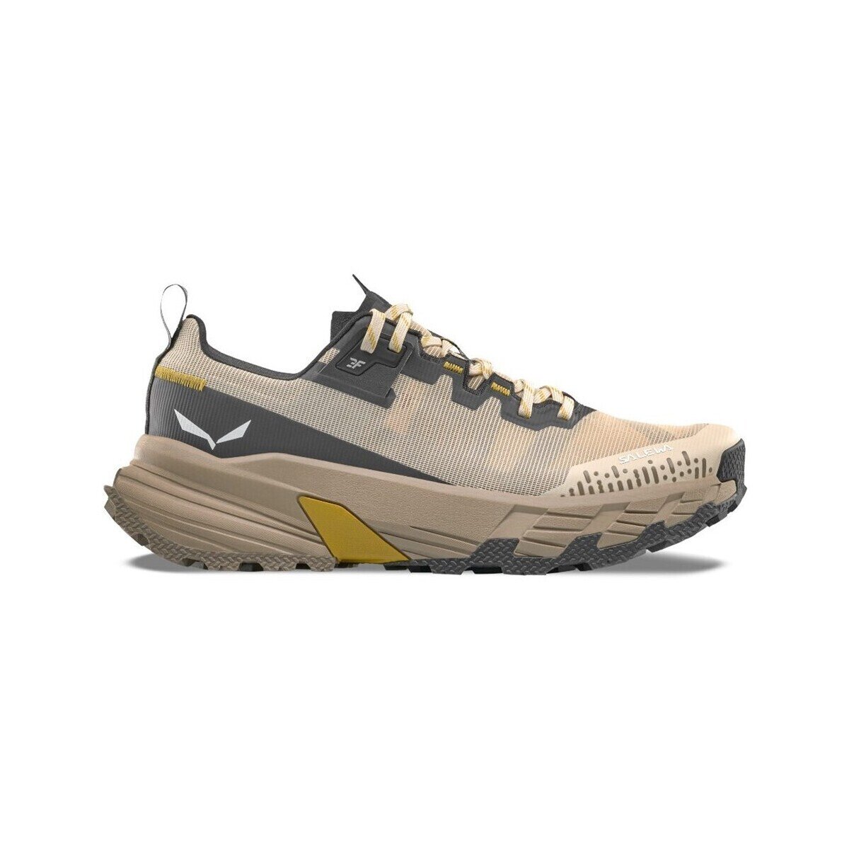 Salewa Pantofi Pedroc 2 Max