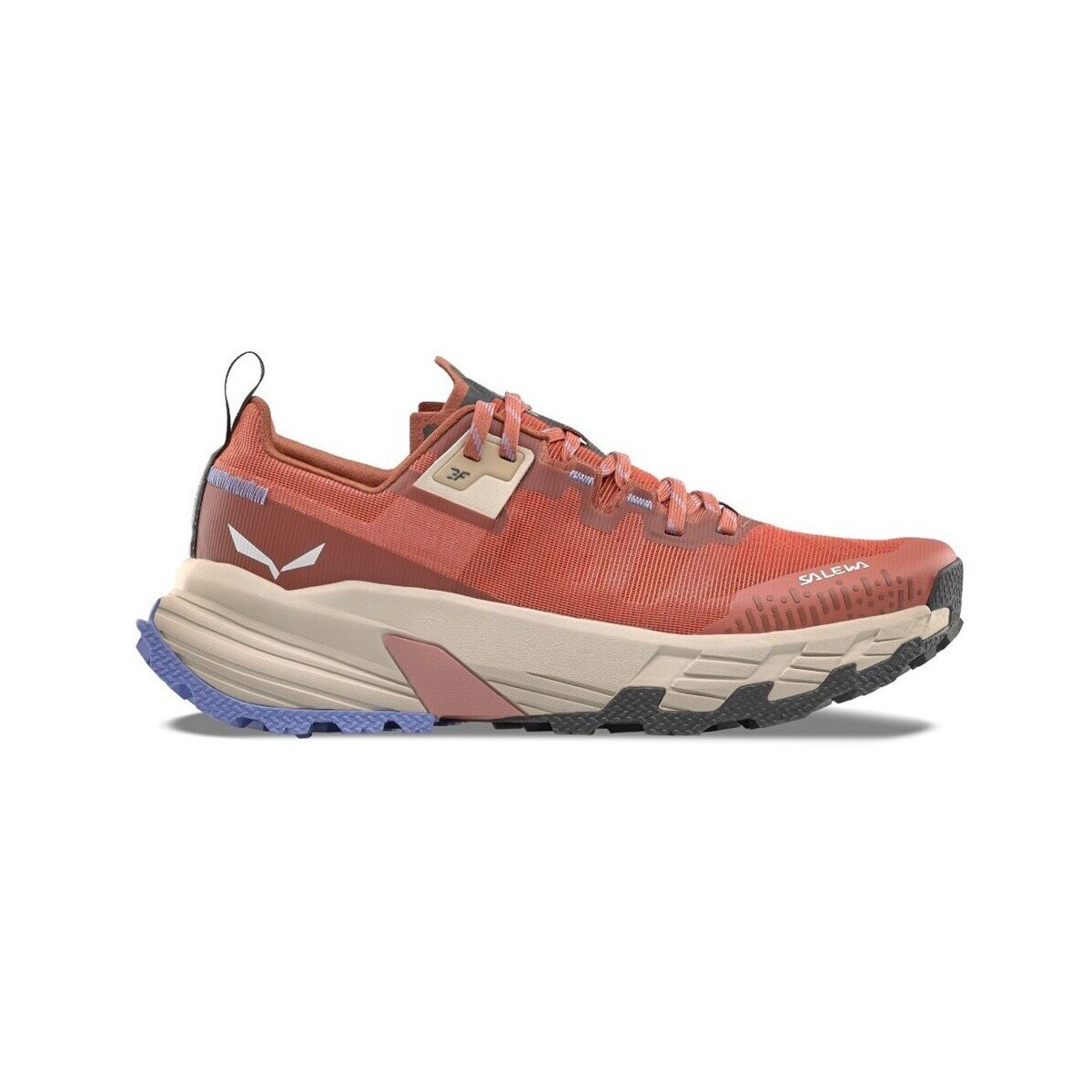 Salewa Pantofi Pedroc 2 Max