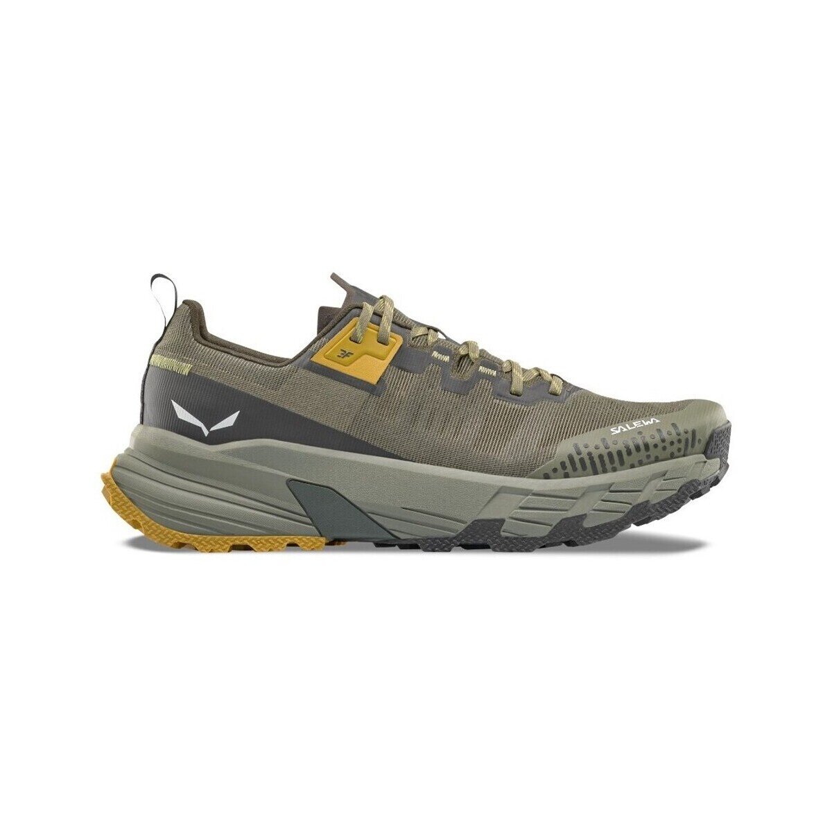 Salewa Pantofi Pedroc 2 Max