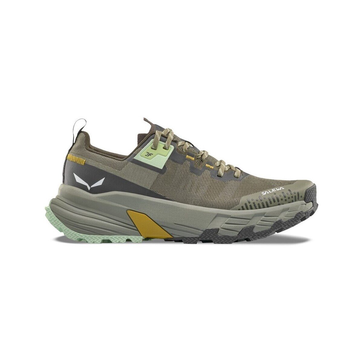 Salewa Pantofi Pedroc 2 Max