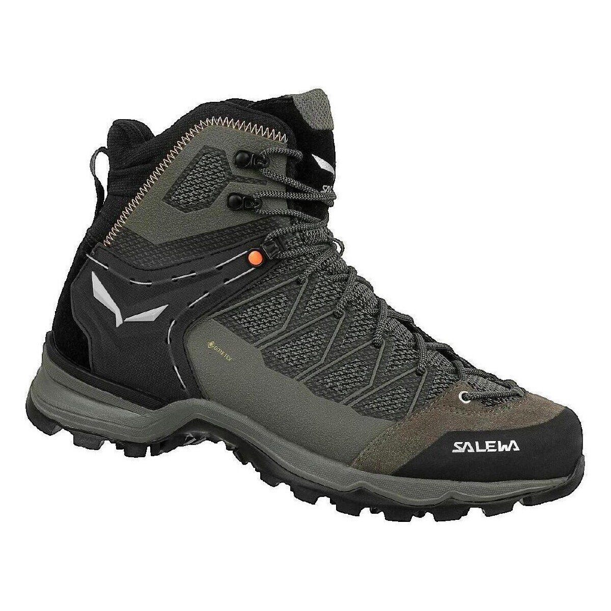 Salewa Pantofi Trainer Liteid Gtx
