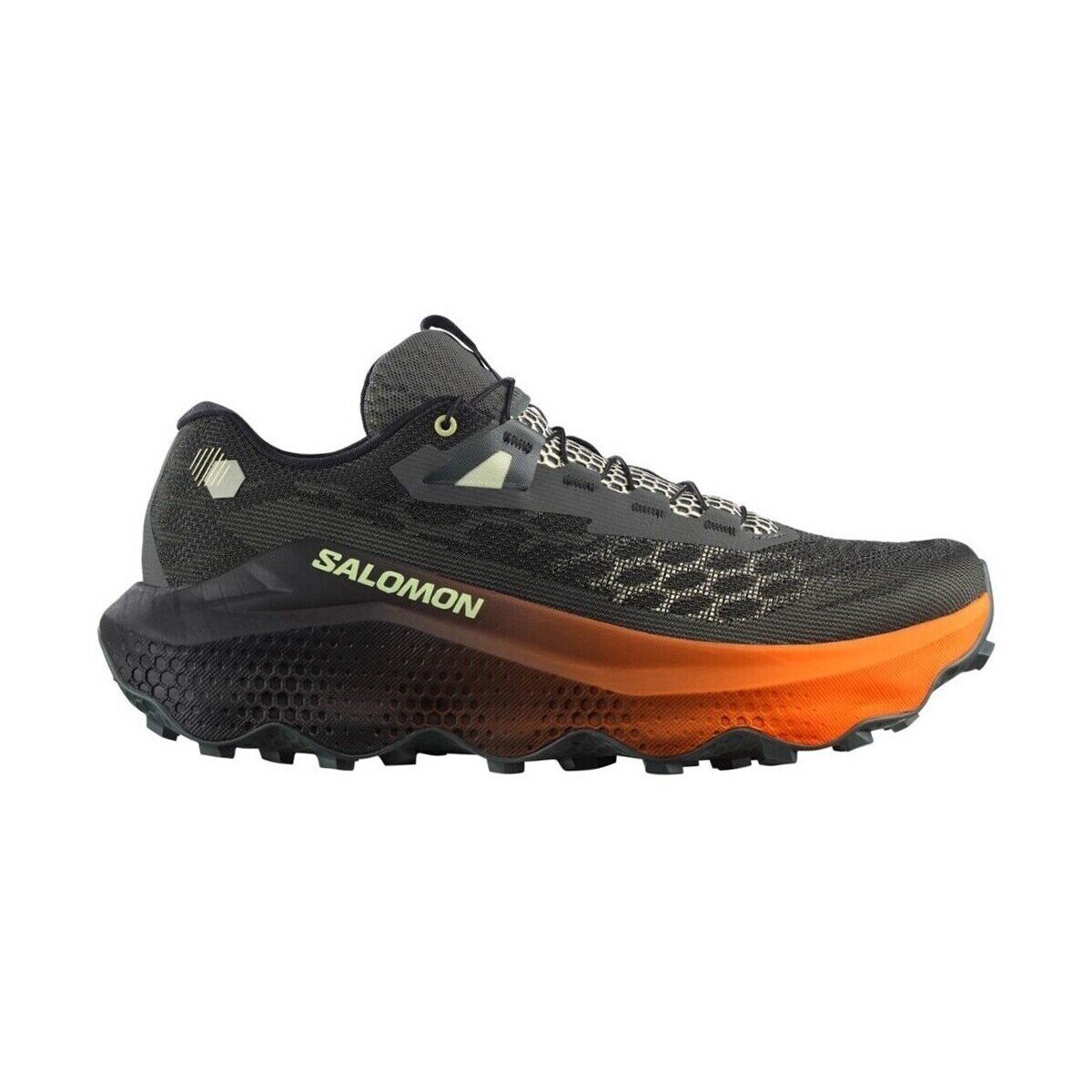 Salomon Pantofi 453960
