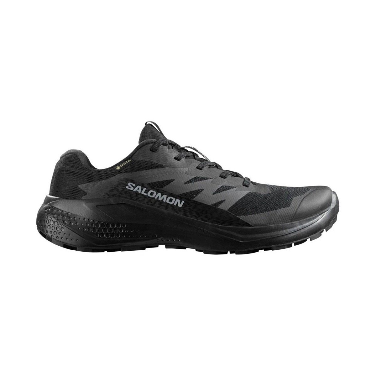 Salomon Pantofi 478021