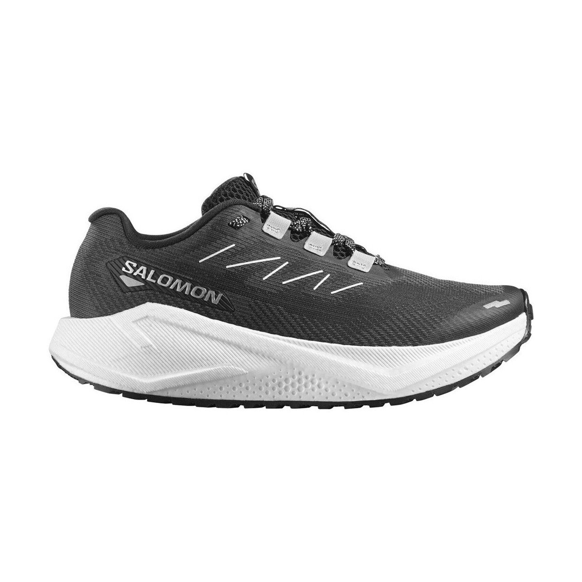 Salomon Pantofi Aero Blaze 3 GRVL