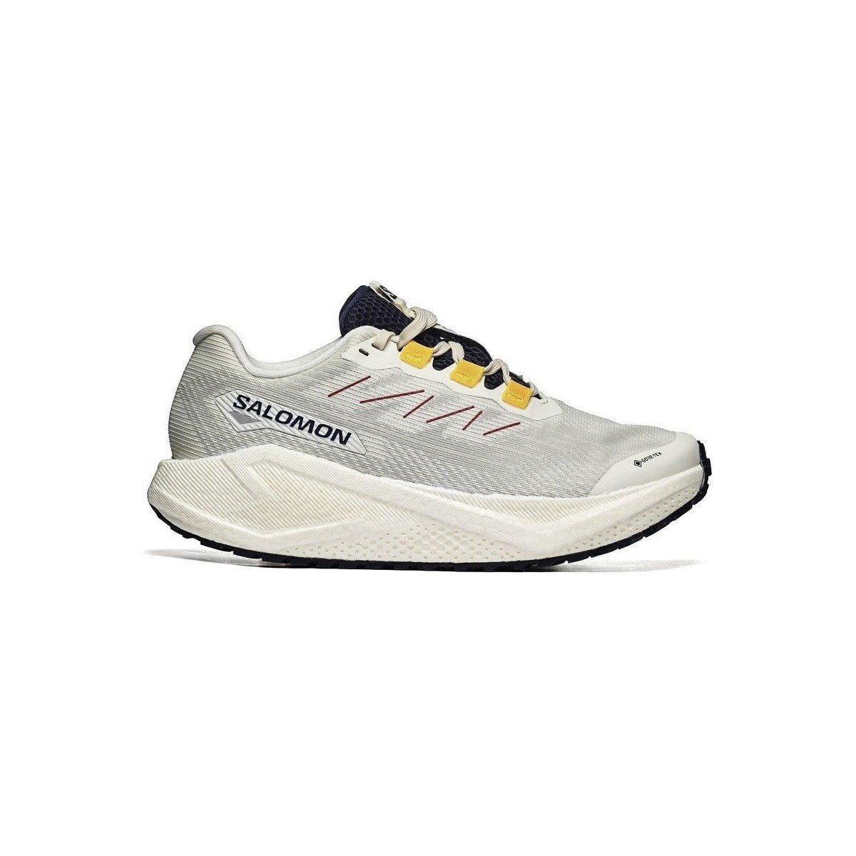 Salomon Pantofi Aero Blaze 3 Grvl GTX
