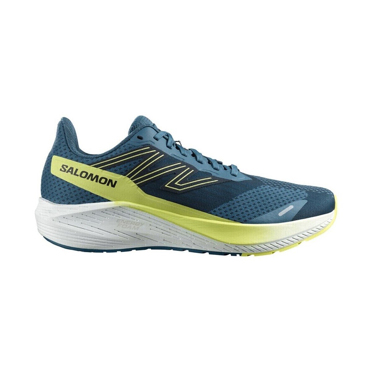 Salomon Pantofi Aero Blaze