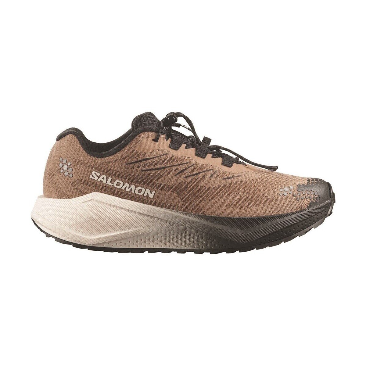 Salomon Pantofi Aero Blaze 4 GRVL