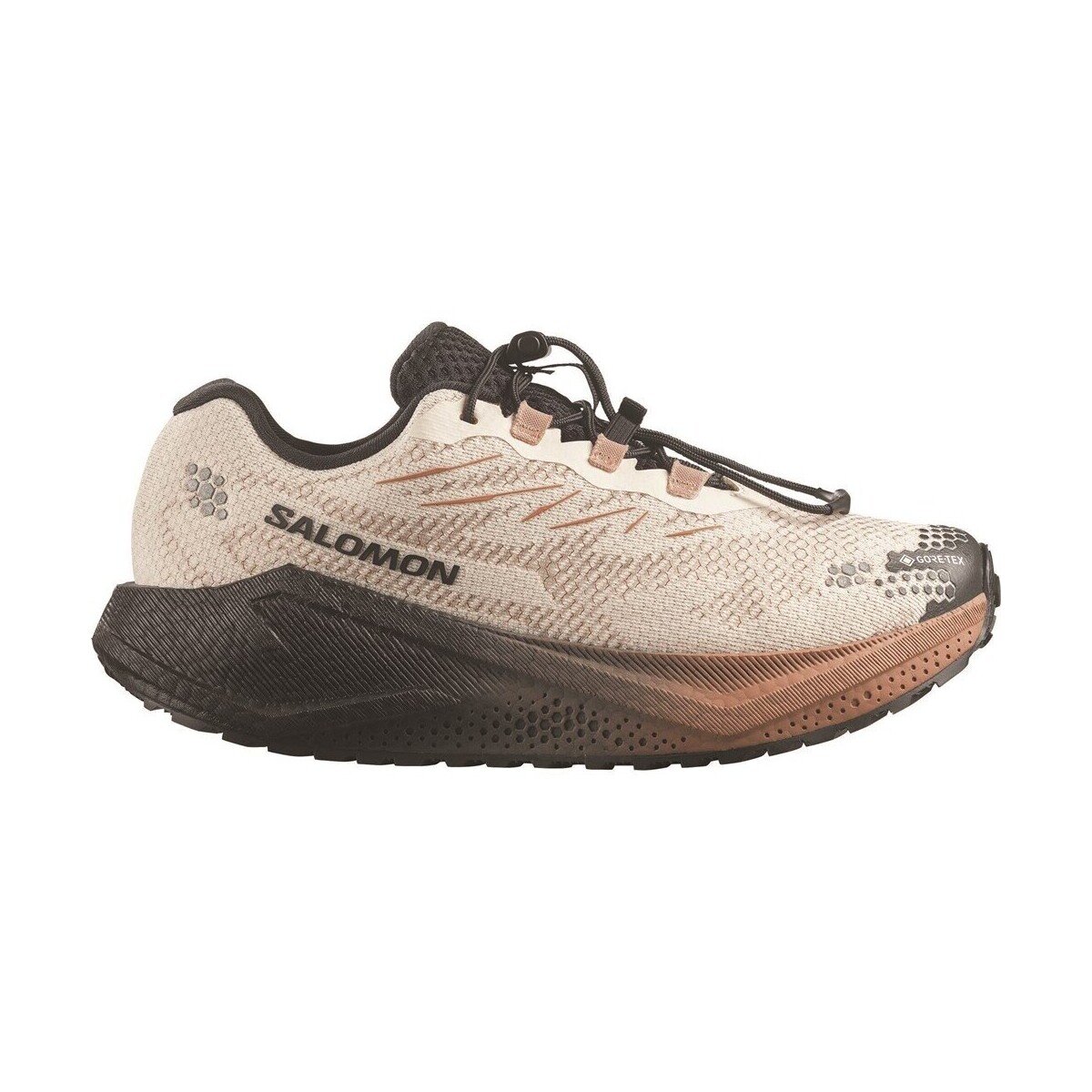Salomon Pantofi Aero Blaze 4 GRVL GTX