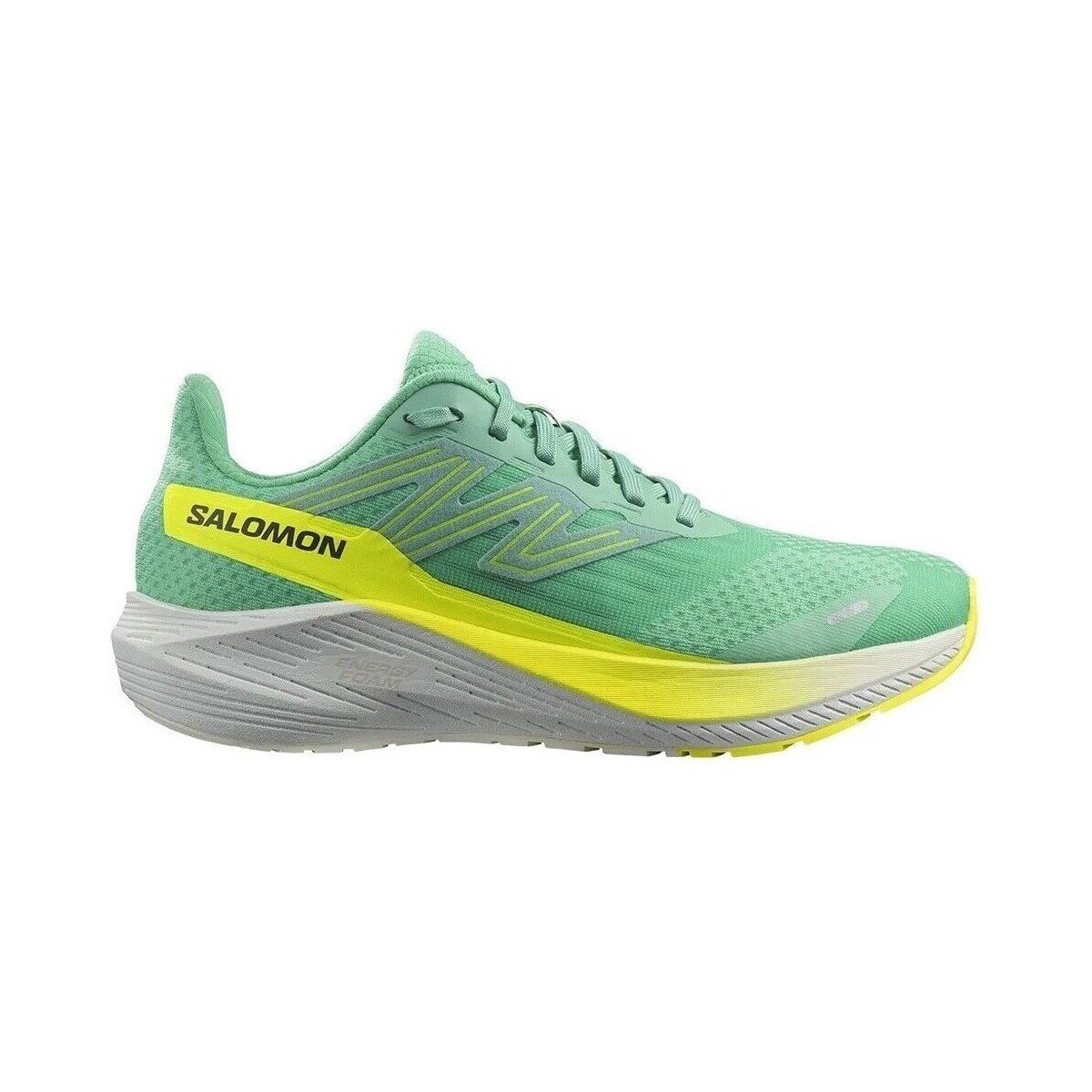 Salomon Pantofi Aero Blaze W