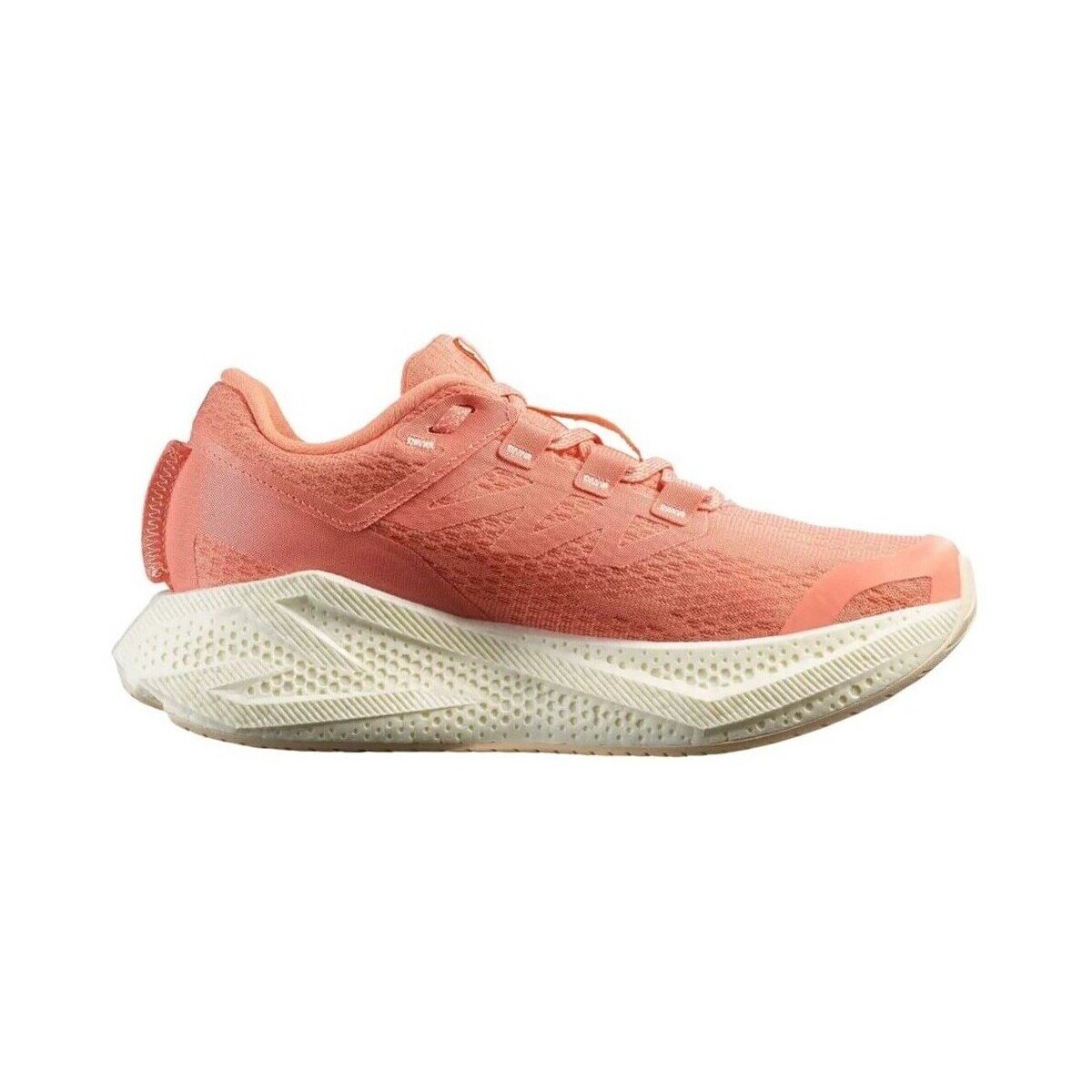 Salomon Pantofi Aero Glide 3