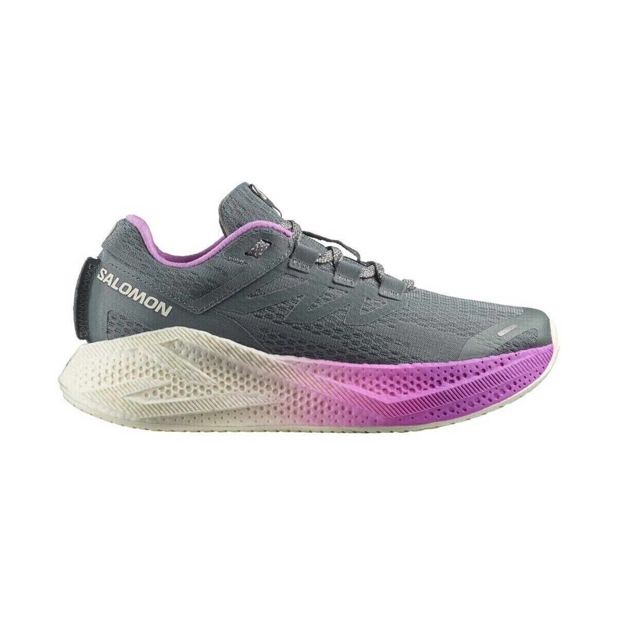 Salomon Pantofi Aero Glide 3