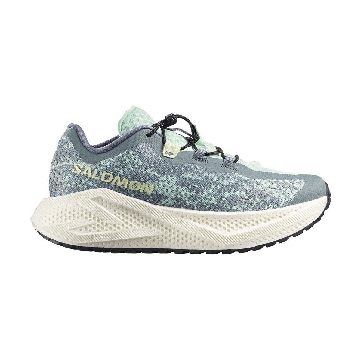 Salomon Pantofi Aero Glide 4