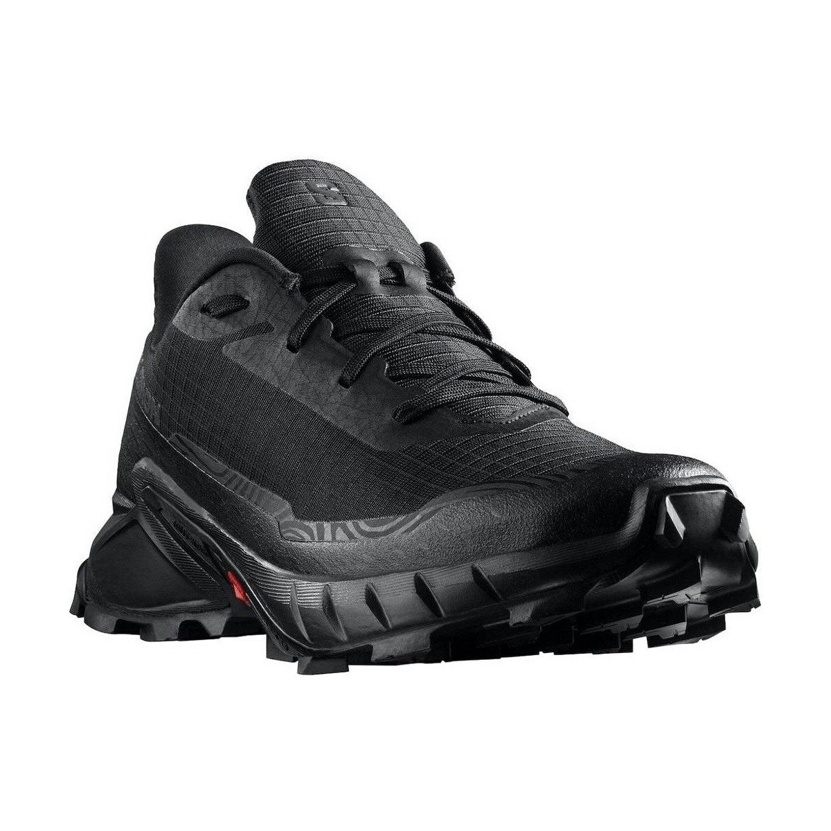 Salomon Pantofi Alphacross 5