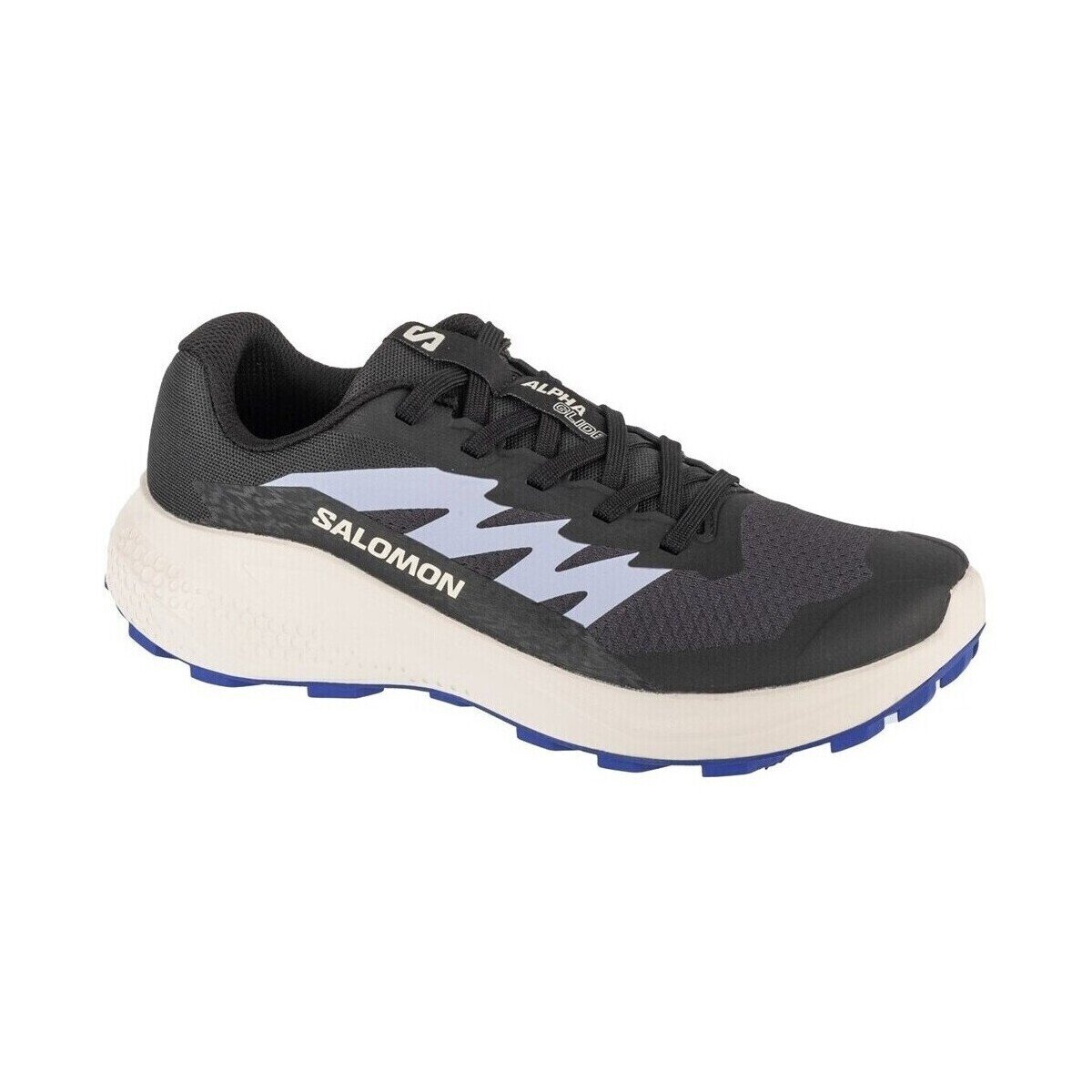 Salomon Pantofi Alphaglide W